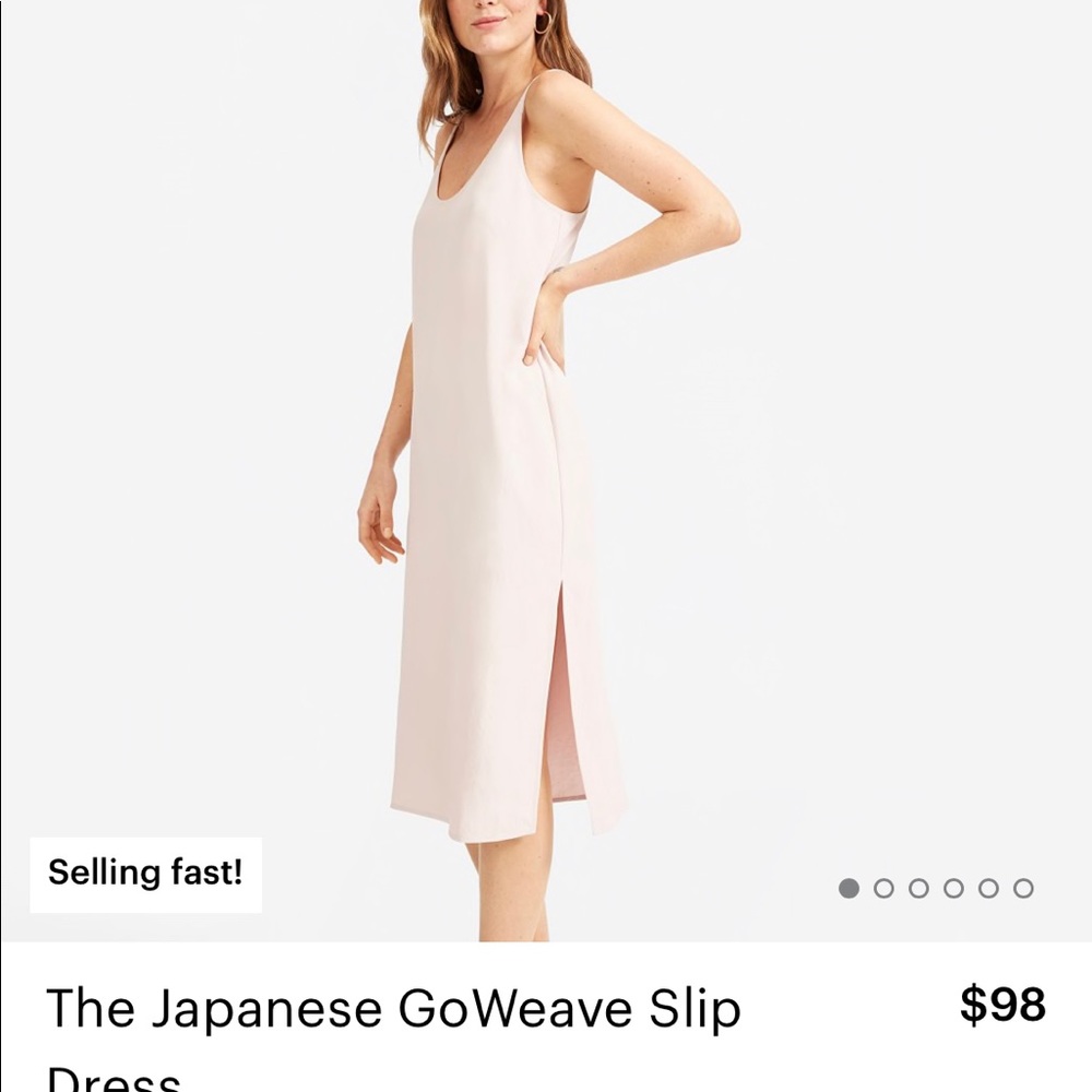 Everlane Japanese GoWeave Slip Dress